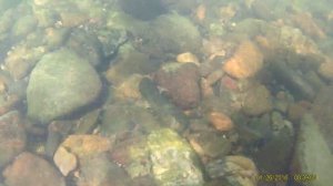 Ловля на мордушку.