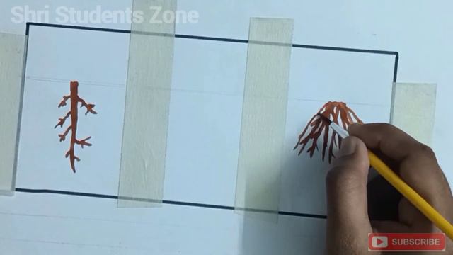 How to draw taproot and fibrous root/drawing of root system/Taproot drawing/Fibrous root drawing. смотреть онлайн