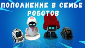 Пополнение в семье роботов. Emo, Cozmo, Vector и Eilik.