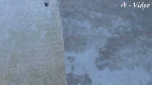 ?Как сделать Кашпо из цемента для дачи и сада  / How to make a cement flowerpot