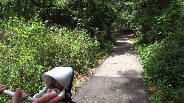 Американцы покидают свои дома!!! Почему??! Тонкости сделок с недвижимостью в США... смотреть онлайн