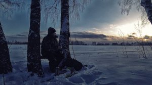 Зимний поход на Танковые горы и в лес вдоль бывшей УЖД