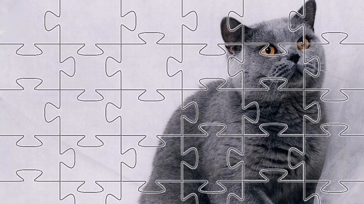Пазл про Британскую короткошёрстную кошку - Пазл 36 элементов