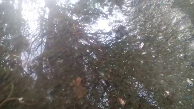 Лягушиная гребля. смотреть онлайн