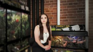 Разрушаем популярные мифы о рептилиях… Или нет? ❌