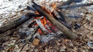 Костер в зимнем лесу