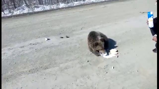 Природа и люди Колымы - апрель 2017 смотреть онлайн