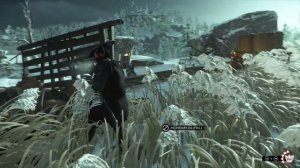 Ghost of Tsushima - Ninja Style Stealth Kills - PS5 Gameplay