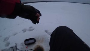 Рыбалка зимой с Deeper Chirp+