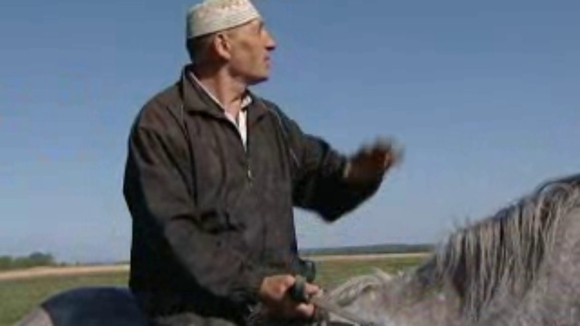 Бизнес на кобыльем молоке