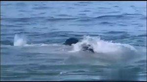 任达华、叶玉卿三级色情片《暴劫倾情》 完整版  国语中字