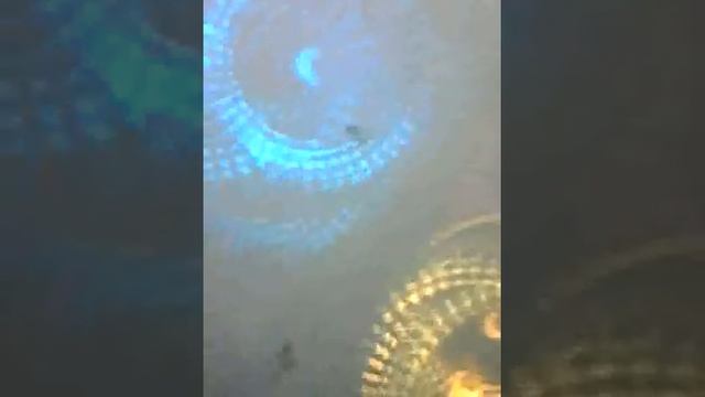 CВЕТОВОЙ ПРИБОР Imlight STALKER