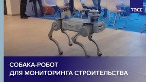 Собака-робот для мониторинга строительства #shorts