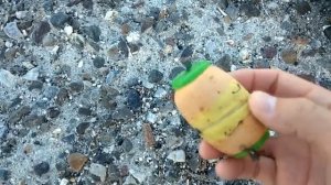 Рыбалка в Турции на удочку  Как ловить в море на тесто