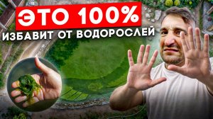 Водоросли захватили пруд | Как очистить пруд от водорослей? | Лучший прибор для очистки пруда