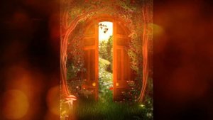 ФУТАЖ - волшебная дверь-  ДЛЯ ВИДЕОМОНТАЖА