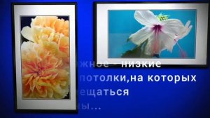 Кафкианская атмосфера