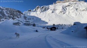 Mürren Switzerand winter visit