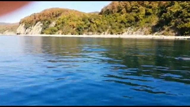 Ольгинка 2020 / Самые потрясающие моменты морских прогулок этого сезона