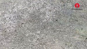 Piaggio Vespa ET2 50 - cheapest 50 to do 60kph?! - 2010 piaggio vespa et2 50 (review)