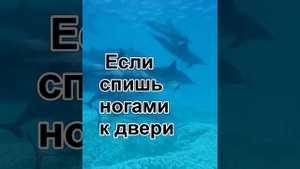 # если спишь ногами к двери #