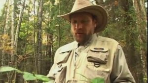 Следопыт с Глебом Данильцевым. Часть 2. Лечение в лесу