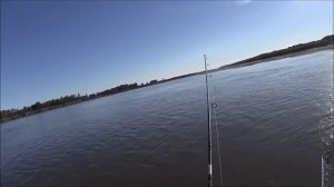 Ловля щуки на джиг и в отвес