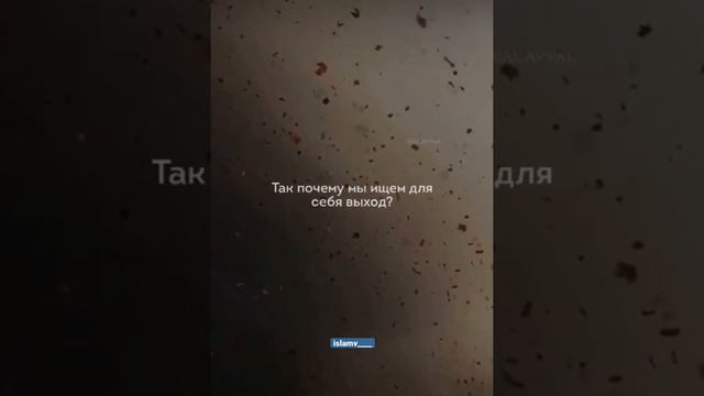 #ислам#коран#сунна #казахстан #узбекистан #таджикистан #кыргызстан #дагестан#чечня#ингушетия #кавка смотреть онлайн