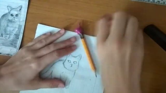 рисую реалистичного котика смотреть онлайн