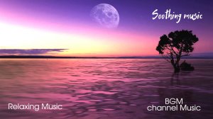 ✨Морской закат | ?Звуки для сна ? Музыка для релаксации ?♀️