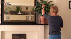 Полетели Мелкие Мошки? Чем Травить? Как Бороться С Мушками На Домашних Цветах И Растениях?