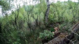 Нелегальный поход в Чернобыльскую зону отчуждения( Дачи Буряковка)