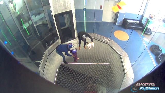 Собаки тоже летают в аэротрубе