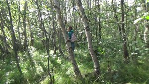 Корзуново 2018