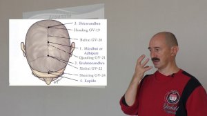 Марма Адхипати нахождение и массаж