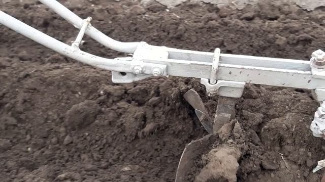 Метод посадки раннего  картофеля  РИВЬЕРА. под пленку.