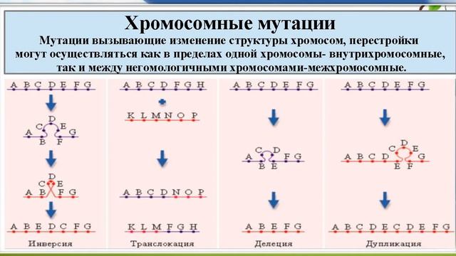 консультация