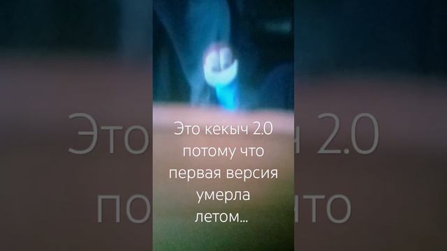 потому что так устроена жизнь #shortvideo