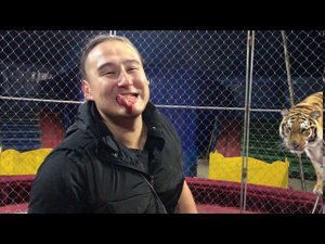 Жесть в Цирке!Репетиция в Цирке!Tigers in circus