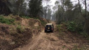 4X4 MUD DAY? / Suzuki Vitara JLX 1990