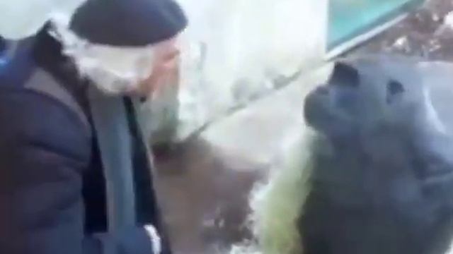 когда пытаешься объяснить что-то другу.
