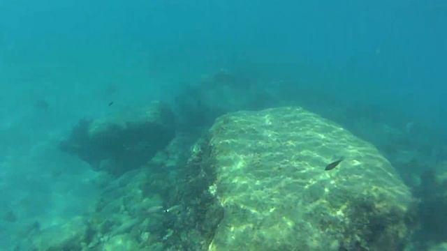 Под водой с маской и трубкой вокруг волнореза - 2ч. смотреть онлайн