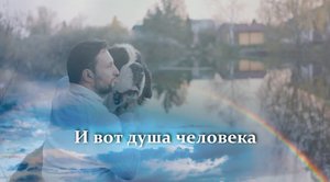 Притча о мужчине и собаке - рассказ о дружбе