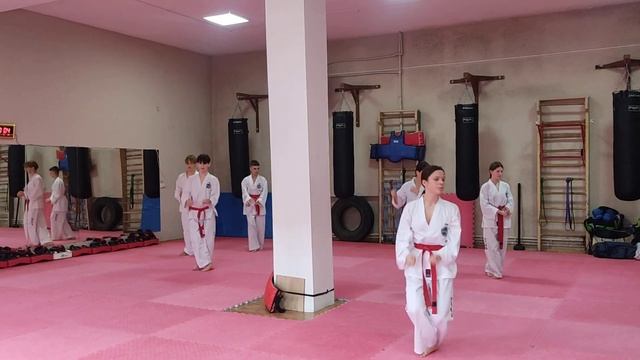 Аттестация на черный пояс смотреть онлайн