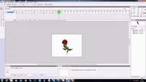 Анимация роз в Sothink SWF Quicker