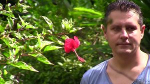 Аяваска Икитос Блю Морфо Шаманы Перу Амазонка - жизнь и природа