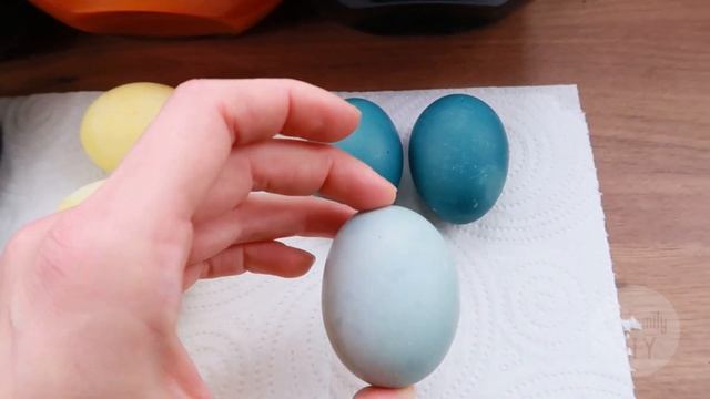 Обзор натуральных красителей на Пасху. Эксперимент по окраске яиц. смотреть онлайн