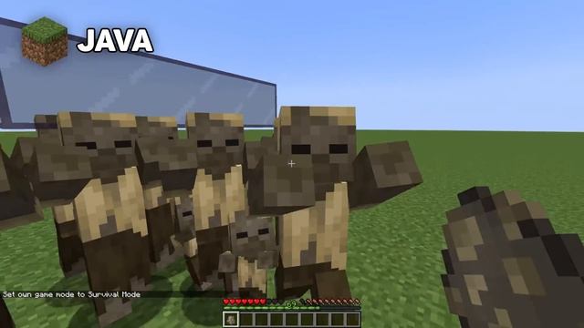 Java VS Bedrock - #2