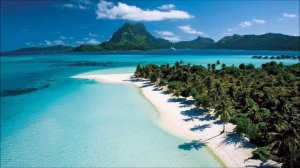 ДанКо И Музыкант