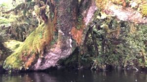 Fiordland National Park. Kayaking1. 20.02.2020